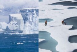 arktika ir antarktika