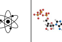 atomas ir molekule