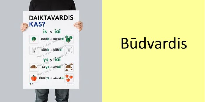 būdvardis ir daiktavardis