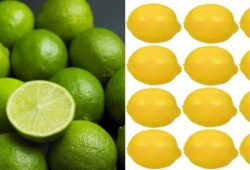 geltona ir zalia citrina