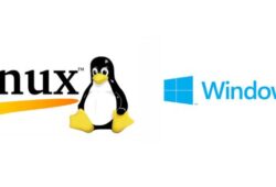 linux ir windows
