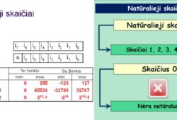 sveikieji ir naturalieji skaiciai