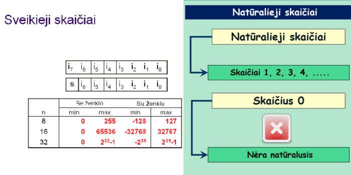 sveikieji ir naturalieji skaiciai