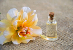 Pavasario aromatai: kuo skiriasi kvepalų pasirinkimas šiltuoju sezonu? image